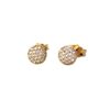 kotsoniskosmimata skoylarikia karfota 14k ear021ab