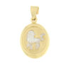 Oval Leo zodiac necklace - ASTRA-1-LEO