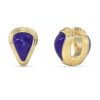 GUESS STEEL VIVA SOLEIL JUBE06154JWYGBLT/U Σκουλαρίκια Δίχρωμα