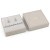 GUESS STEEL G CAMDEN JUBS06048JWRHS Κουτάκι Με Ασημένιο Βραχιόλι Και Σκουλαρίκια